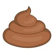 248868