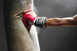 1608172133366.webp
