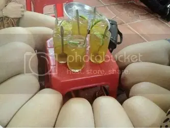 261363