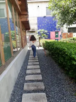 263768