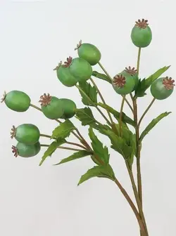 tải xuống.webp