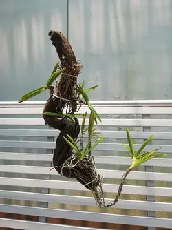 107613338_2676757329228293_3913603229134766221_n.webp 107613338_2676757329228293_3913603229134766221_n.webp