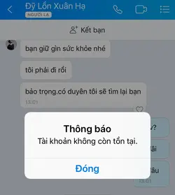 268333 268333