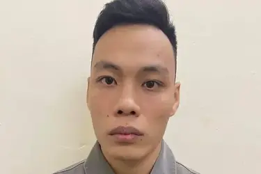 268334 268334