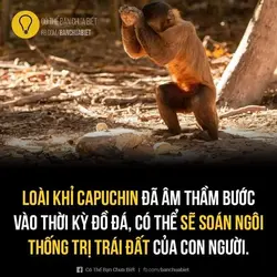6379D627-E3FB-45A9-AEC2-E1DD5688EC9F.webp