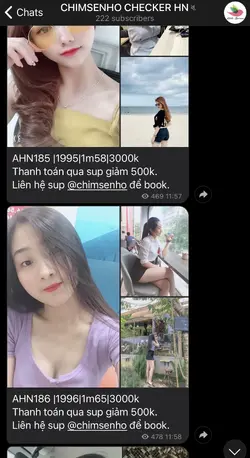 273311