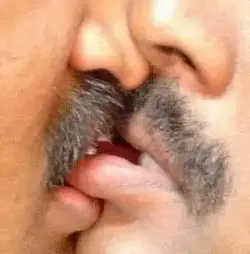 275058