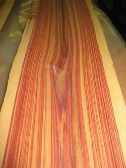 tulipwood3.webp
