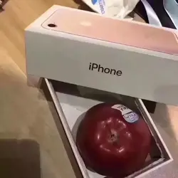 284478