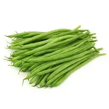 291553