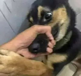 291721 291721
