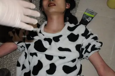 294453