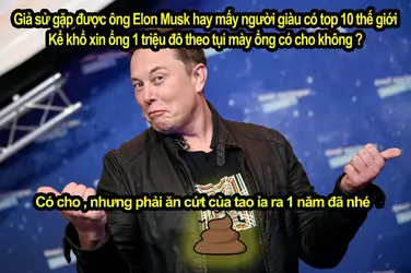 296266