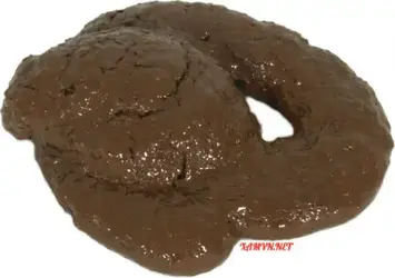 305051