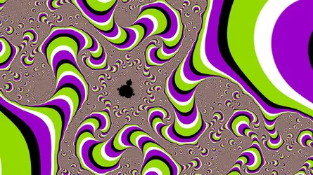 306876 306876
