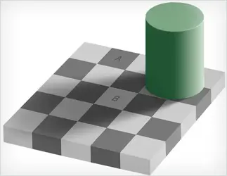 306891 306891