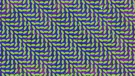 306892 306892