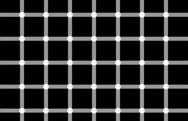 306893 306893