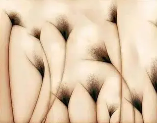 306929 306929