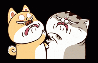 2.gif