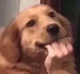 310561