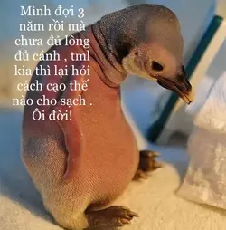 312042 312042
