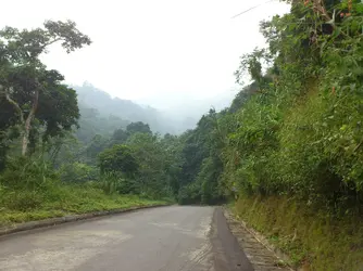 313622 313622