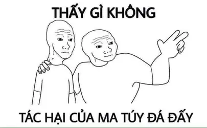 316245