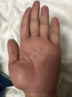 32873