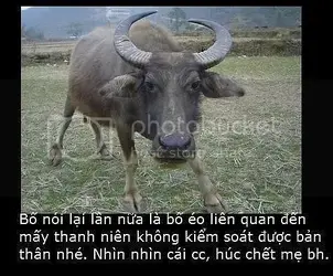 0AA89A7E-B0AD-42B2-B23F-4A45FD4101F4.webp