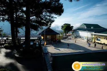 472a3226-copy.webp