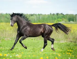 1615638337881.webp