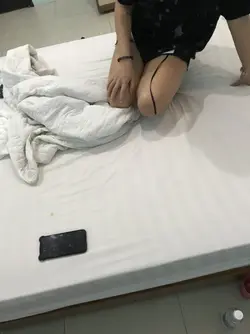 33105