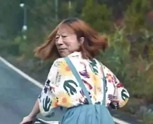 33766