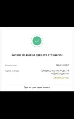 04455959-BFBC-4E20-AD34-24EA98E76104.webp