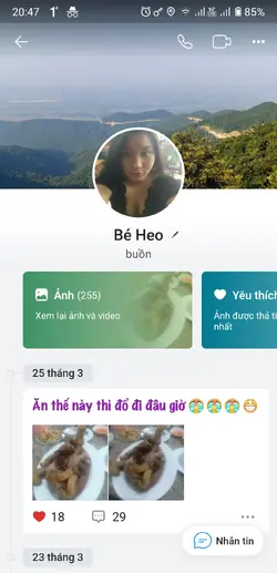 333481