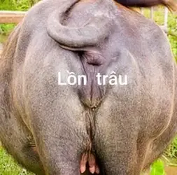 334365
