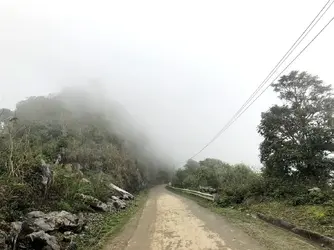 langthang (6).webp