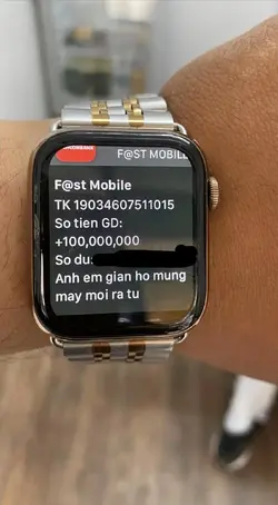 335735 335735
