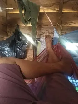 337616