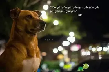 9D9FAB41-3137-482B-859F-A4F5A40C10C9.webp