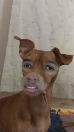 341759