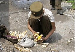 linh_TT1-baac8.jpg