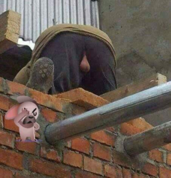 348686