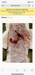7C1EF388-497D-483C-BF57-DFF43495A7F6.png