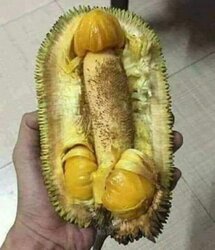 364371