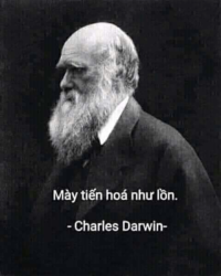 6AC05788-BD07-4AE9-8D46-5168C2540E25.png