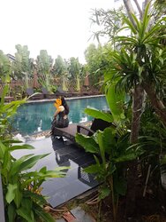 20210515_214410.jpg