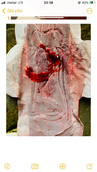 0CCCF3D4-1664-4106-84D2-7D04422FDDD2.png
