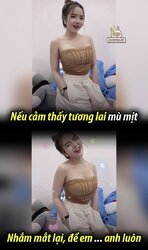 392827 392827